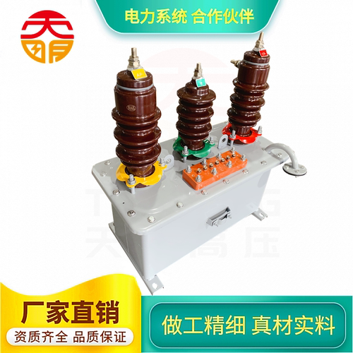 JLS-6KV,10KV油浸式计量箱