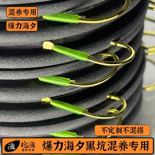 黑坑混养暴力金海夕5-25斤