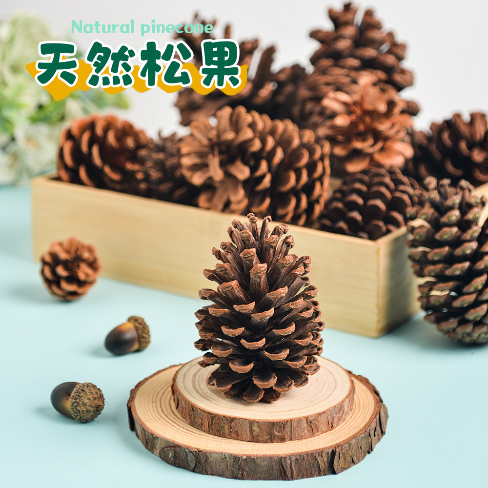 圣诞手工幼儿园松果松塔装饰diy套装材料装饰配件小干花制作树枝