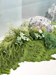 假青苔藓小山丘包草绿植软装置景花艺酒店大厅仿生微景观植物造景