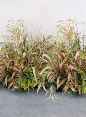 荒野风草丛布景干芦苇仿真植物店铺外摆花箱造景假绿植墙边狗尾草