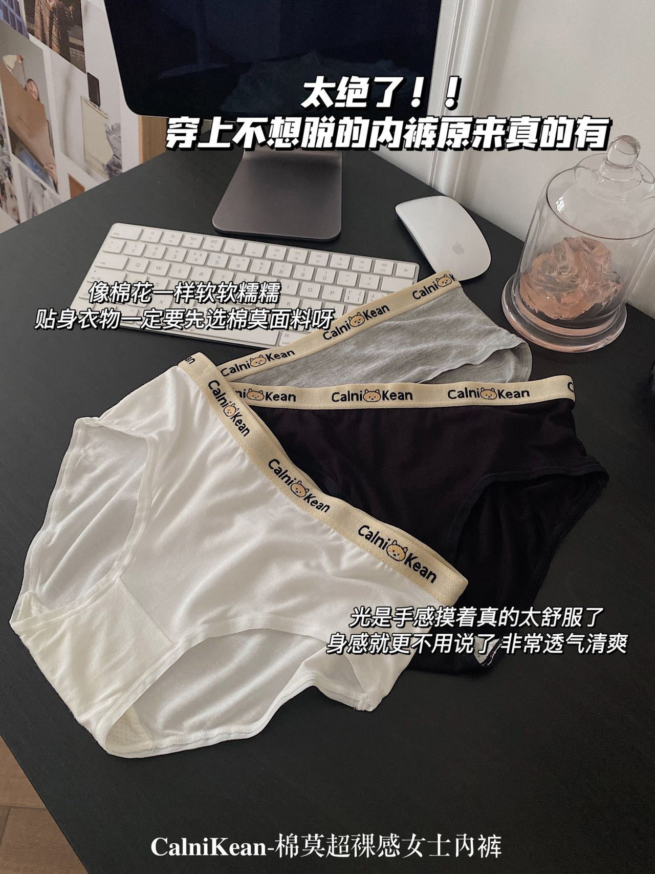 CK小熊女情侣内裤纯棉底裆礼盒装