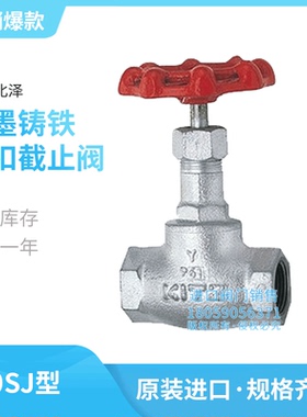 10SJ日本进口北泽KITZ球墨铸铁截止阀不锈钢 内丝扣 4分 开关阀门