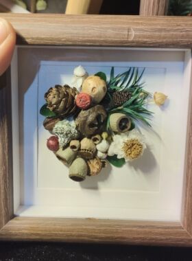 云南精品永生花相框种籽造物天然果实创意手工diy材料成品母亲节