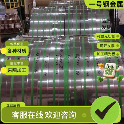 X50CRMOV15不锈钢 022Cr17Ni12Mo2钢板 06Cr23Ni13圆钢 S420210