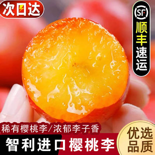 智利樱桃李5J级大果当季爆甜孕妇时令新鲜进口李子水果顺丰包邮