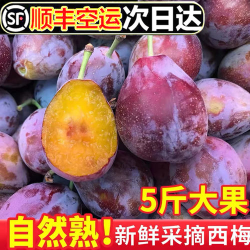 【顺丰空运】新鲜正宗法兰西甜西梅5斤特级大西梅应当季宝宝辅食