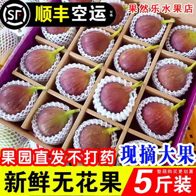 【顺丰空运】云南红皮无花果精选大果现摘应当季孕妇水果软糯香甜
