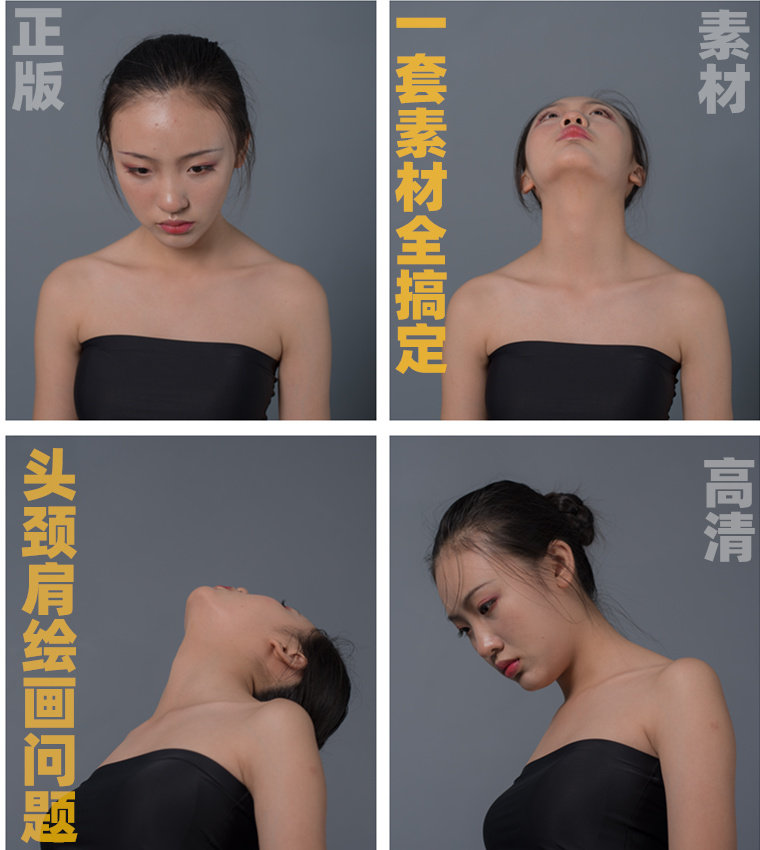 第二卷 低头抬头 头部全角度  艺用人一套素材解决绘画头颈肩