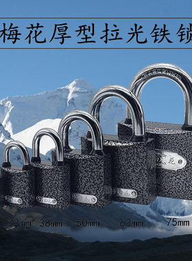 梅花铁挂锁防水防锈老式挂锁柜子厚型拉光塑钢结构解刨析教学展示