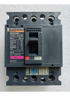 梅兰日兰断路器NS80H-MA806.312.53PNS80H