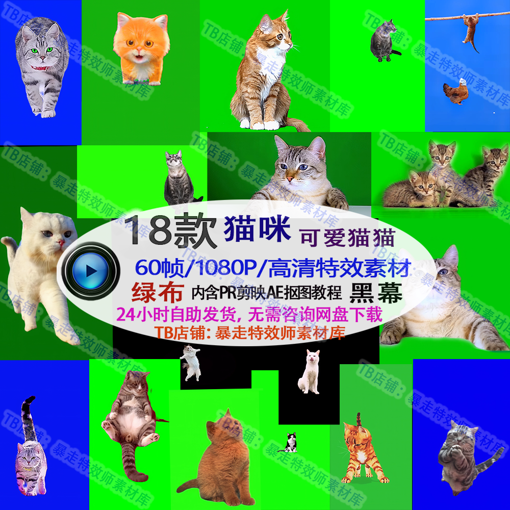 猫咪动物猫猫绿幕素材高清黑幕免抠像ae剪映pr合成特效视频素材