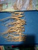 参农直发长白山13 15林下山参残参无硫无科技适合煮水煮茶打粉