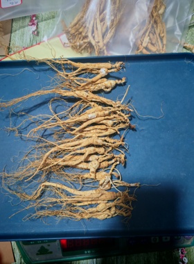 参农直发长白山13-15林下山参残参无硫无科技适合煮水煮茶打粉