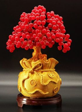 新款红玉果钱袋子发财树！红果硕果累累，鸿运当头！