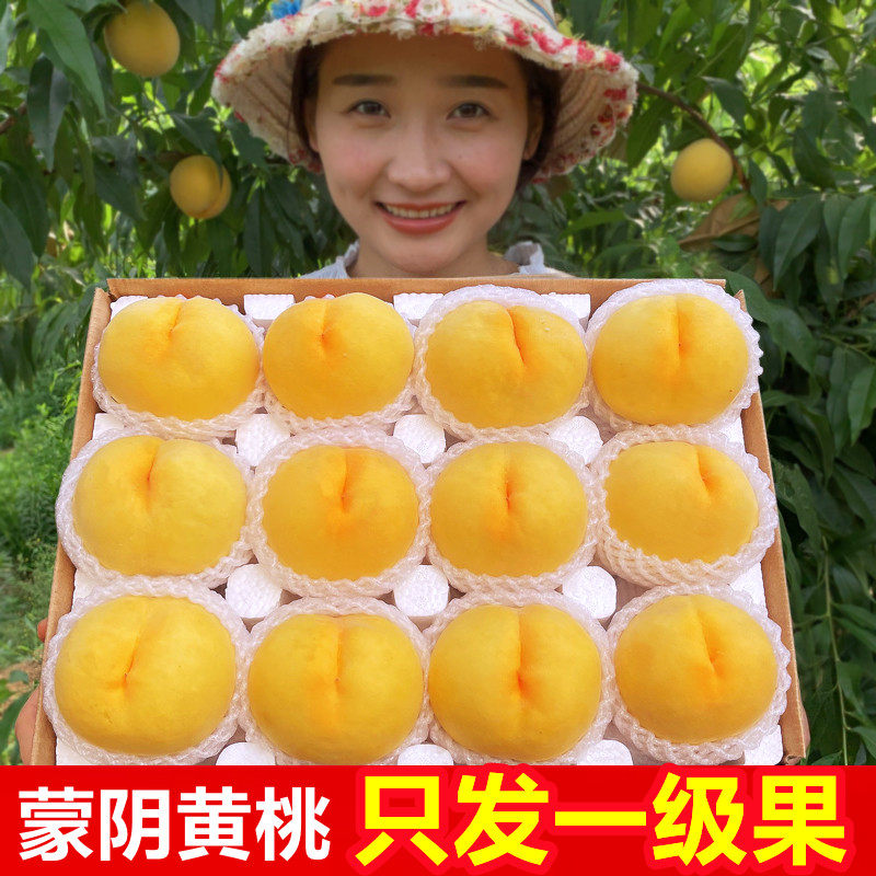 黄桃水果新鲜现摘发货5斤当季整箱包邮露天特大黄金水密带毛脆甜