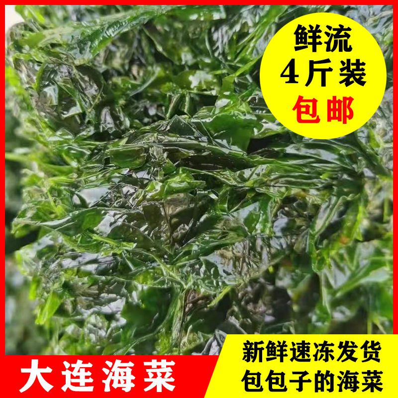 大连新鲜海菜包子馅海清菜海绿菜包子菜 4斤包邮现货-封面