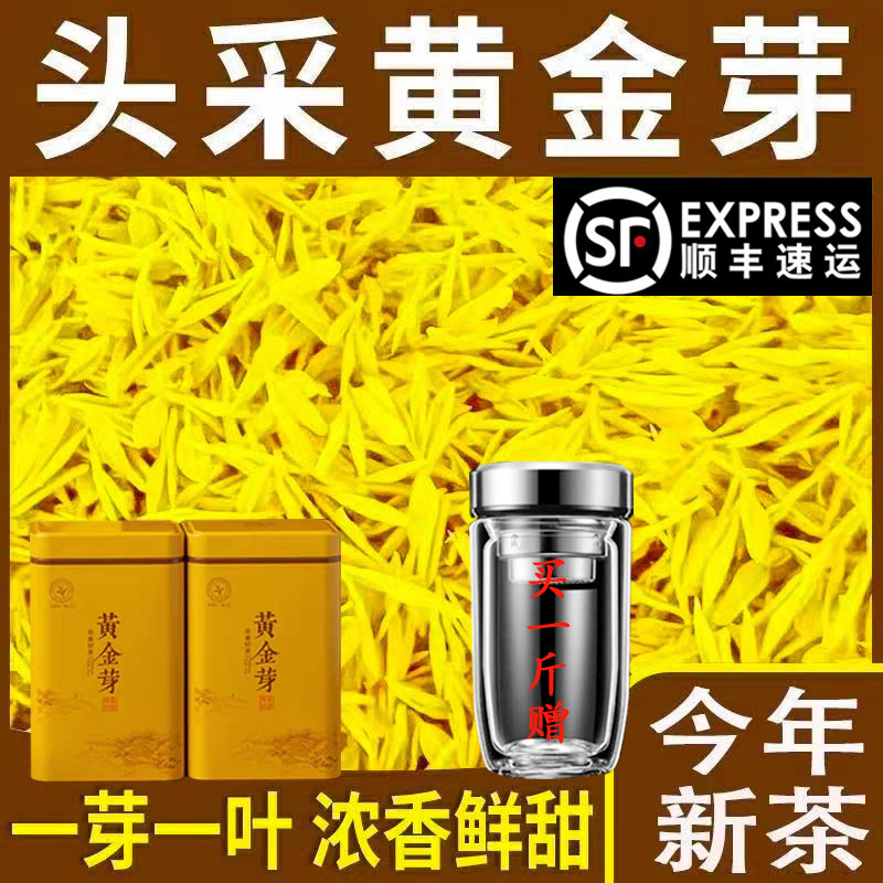 2026年新茶明前嫩芽黄金芽浓豆香型高山白茶绿茶茶叶礼盒250g500g