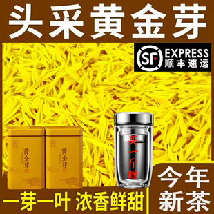2026年新茶明前嫩芽黄金芽浓豆香型高山白茶绿茶茶叶礼盒250g500g