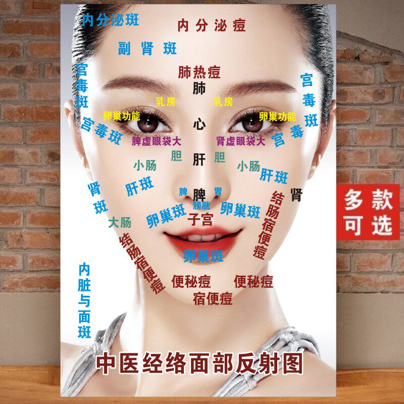 中医面部经络反射图美容院养生馆装饰画刮痧示意图穴位按摩经络图