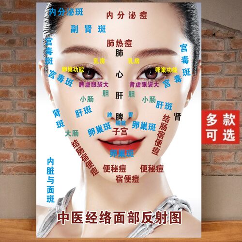 中医面部经络反射图美容院养生馆装饰画刮痧示意图穴位按摩经络图