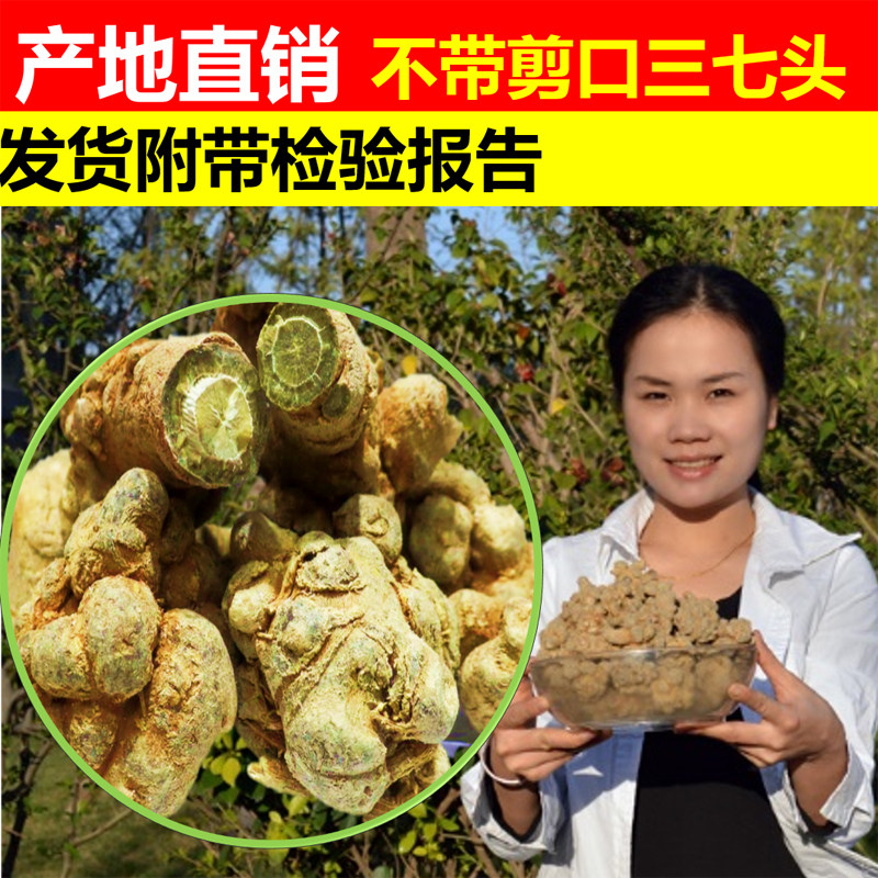 云南文山春三七20头田七30头40头水洗三七头田七粉500g包邮