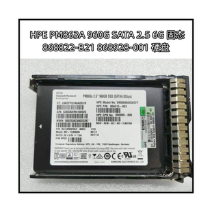 SSD 868822 SATA PM863A 2.5固态硬盘6G 001 960G 868928 HPE B21