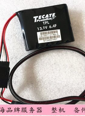 LSI 9286C M5110 M5012 电池81Y4579 00JY023 49571-13/02/15