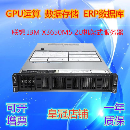 IBMX3650M554628871服务器