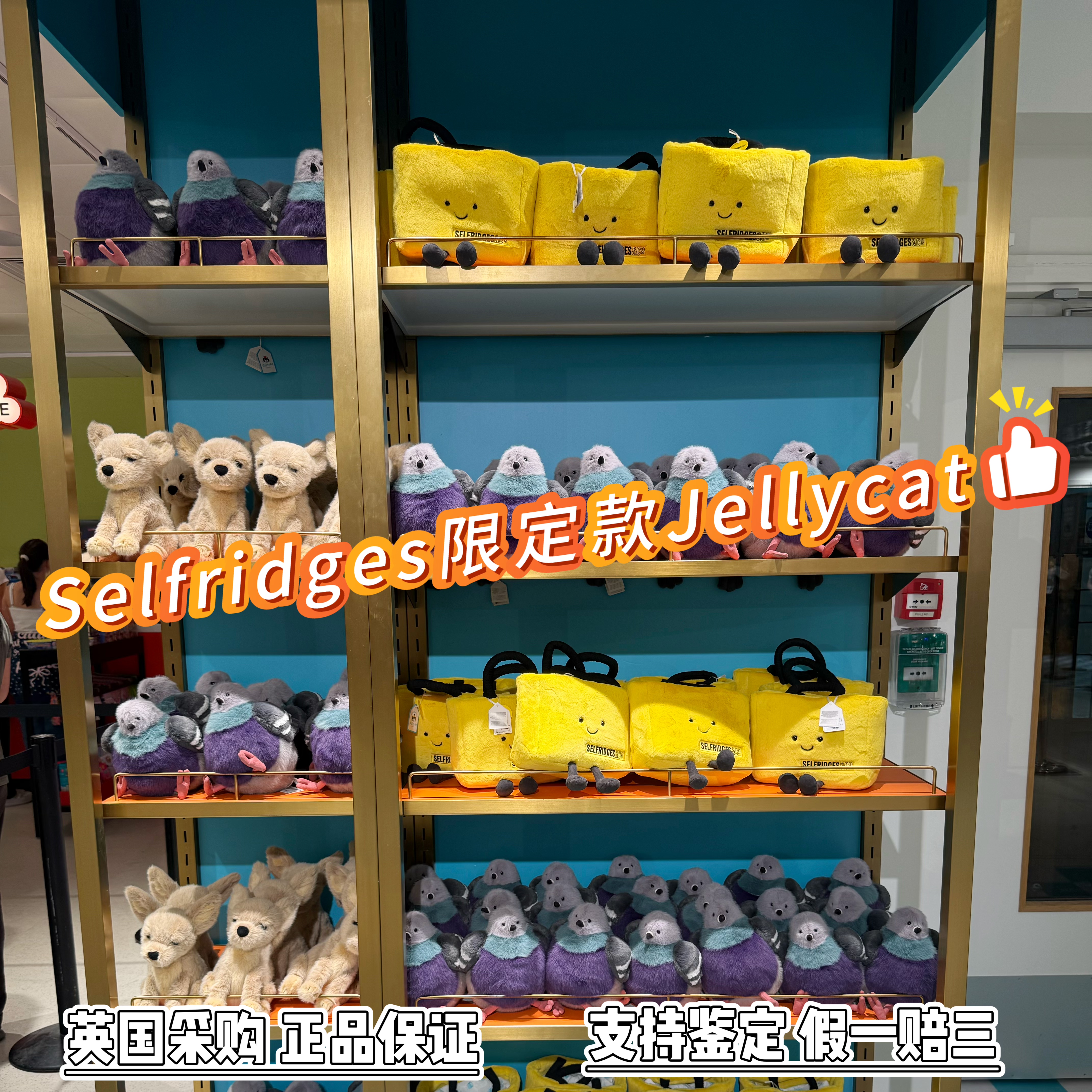 英国代购 Jellycat英国限定莱斯特鸽子胖胖咯咯毛绒玩具纪念品