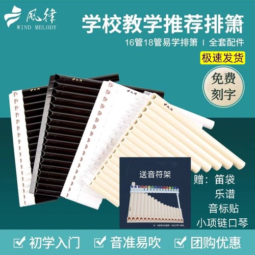 风律牌易学排笛16管18教学专用