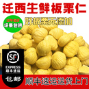 去皮生栗子仁迁西生板栗仁真空新鲜剥壳甘栗仁去壳板栗肉无皮孕妇