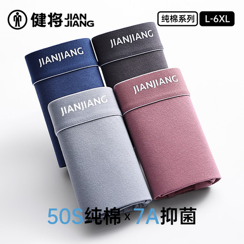 健将男士内裤纯棉平角裤宽松抗菌