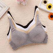 Slip jeunesse doux en coton - Ref 646414 Image 30