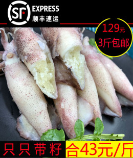 冷冻海兔子满籽子乌鲜活 小墨鱼仔带黄海鲜笔管鱼小鱿鱼仔全籽 包邮