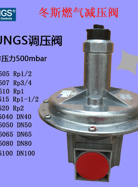 冬斯FRS520/515燃气减压阀DUNGS天然气调压阀 锅炉液化气稳压阀煤