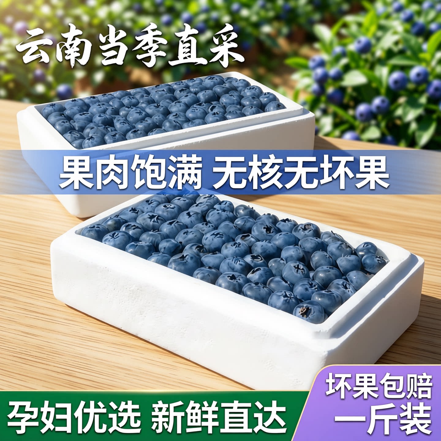 云南高山新鲜蓝莓鲜果果肉饱满一斤当季新鲜孕妇水果无核坏果包赔