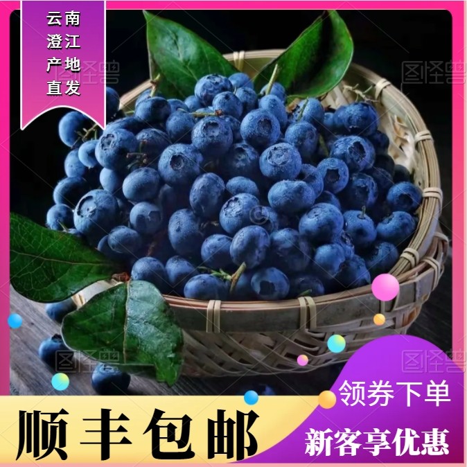 【顺丰空运礼盒】云南玉溪蓝莓鲜果应季蓝莓大果孕妇水果产地包邮