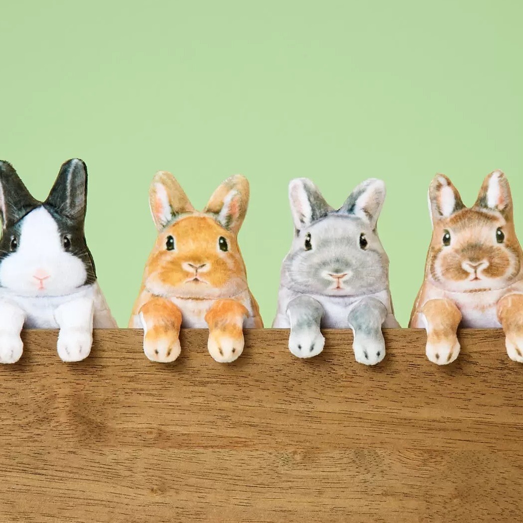 芬理希梦收纳包抓抓兔可爱兔兔玩偶零钱包钥匙包创意挂件生日礼物