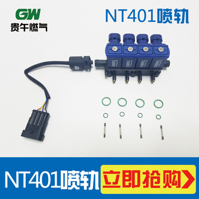 CNG喷轨NT401喷轨原装喷轨爱丽舍
