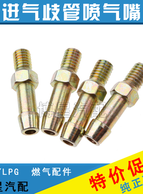 汽车油改气CNG天然气LPG液化气喷气嘴燃气进气歧管支管喷头进气头