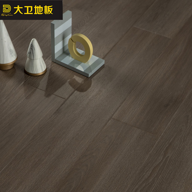 大卫地板 强化复合地板 10mm dw807 悦午