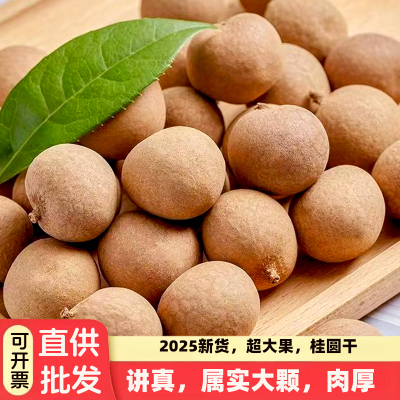 桂圆干大果福建莆田特产