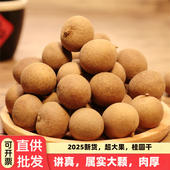 新货高质量品质出口级真大果桂圆干带壳小核莆田特产龙眼干批发