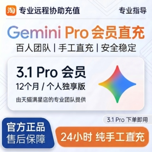 Gemini 3.1 pro12个月会员直充不降智个人独享AI会员远程安装代充