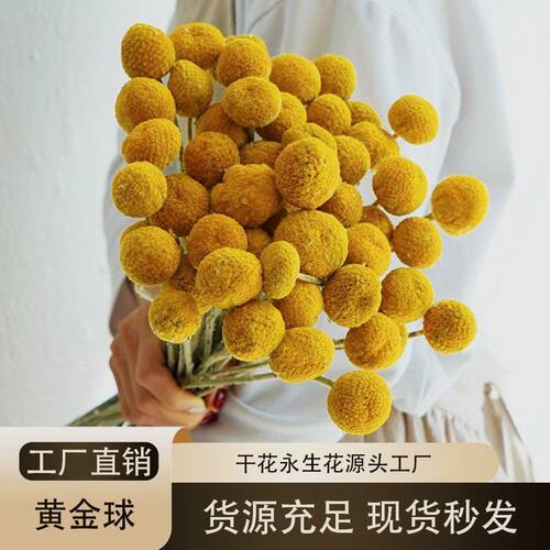 黄金球干花天然真花客厅家居
