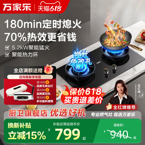大火力双灶燃气灶家用厨房