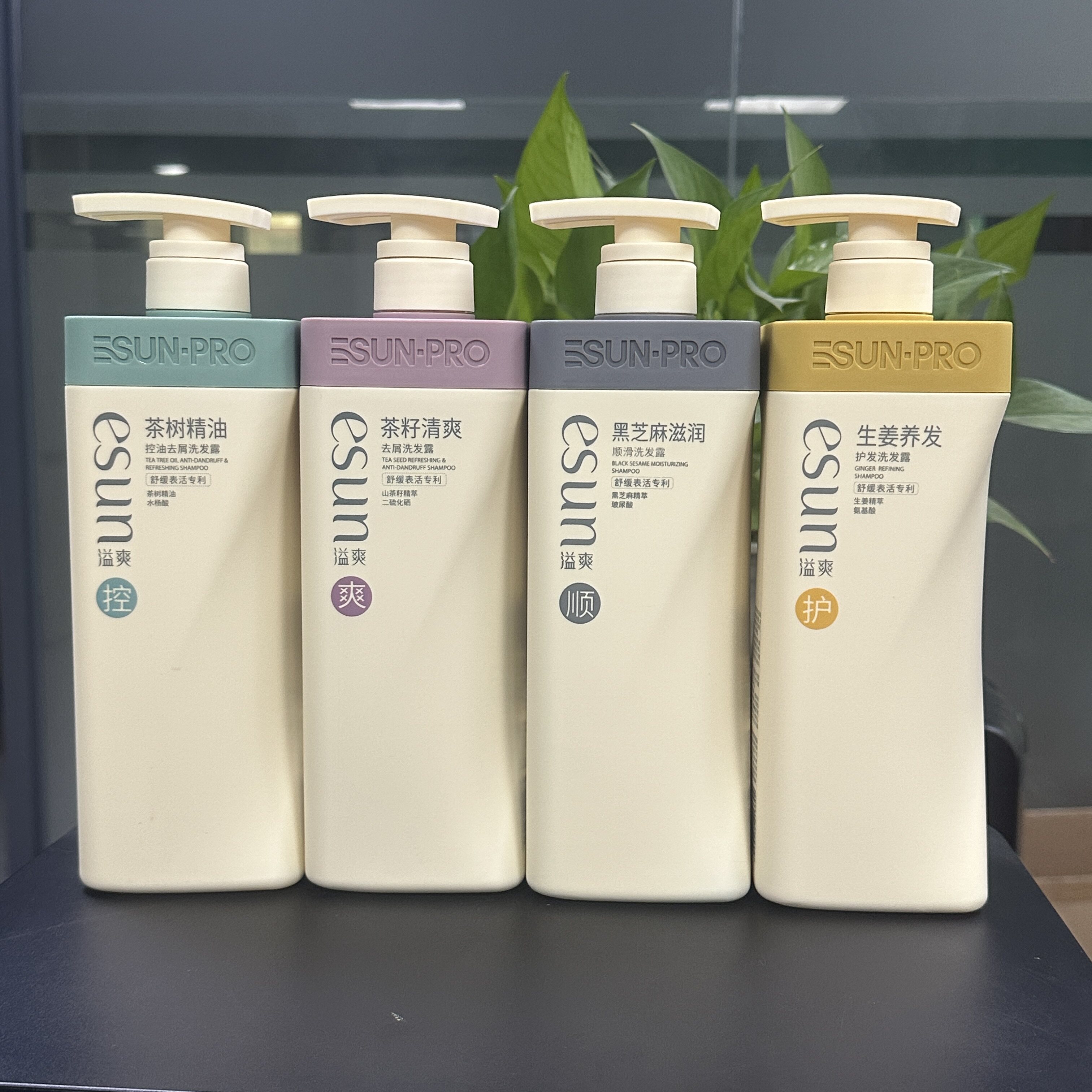 安安茶树茶籽精油控油去屑洗发水