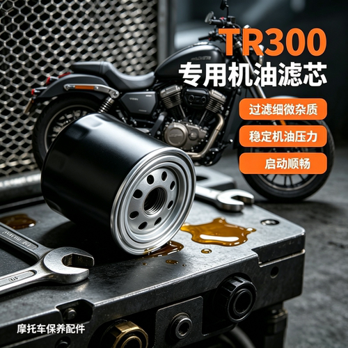 豪爵TR300DR250机油滤芯