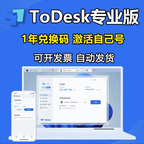【兑换码】ToDesk专业版会员1年兑换码激活码 远程控制软件正版